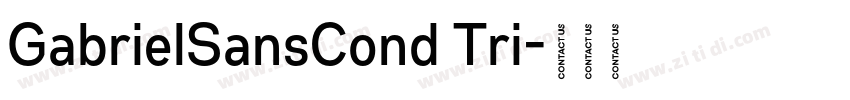 GabrielSansCond Tri字体转换